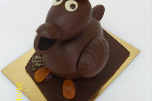 Canard