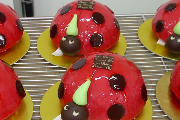Coccinelles à ski