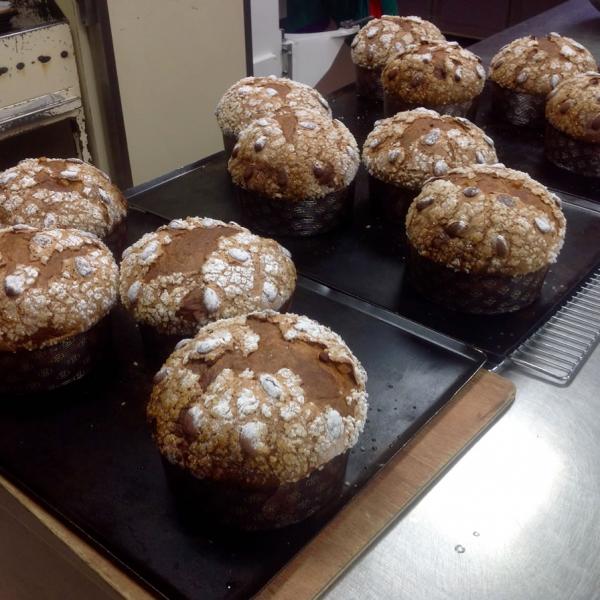 Panettones(7)